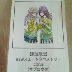 citrus シトラス　受注限定品　B2Wスウェード　タペストリーサブロウタ