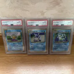 【連番】classicカメックス進化ライン３枚セット　psa10