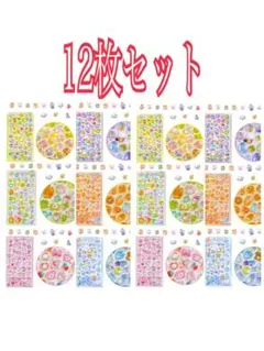 12枚セット
