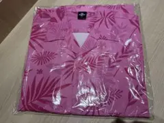 Item thumbnail for item d56ed6f1-e1bf-41d3-a473-d1269cdc224f