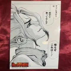 dr.stone 2L版 BIGブロマイド 原画 公式正規品 石神千空 千空F