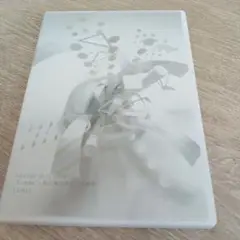 ARASHI10-11 tour in dome scene君と僕の見ている風景