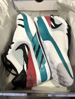 NIKE JA1 SCRATCH EP 27.5cm