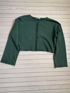 Item thumbnail for item 1c2408aa-718a-417e-a170-232e4045b053