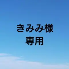 きみみ様 リクエスト 2点 まとめ商品