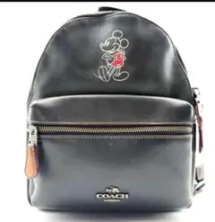 COACH コーチ 【DISNEY X COACH 】 トート ドナルドダック - メルカリ