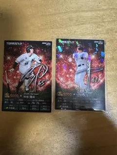 Item thumbnail for item 47af6590-6858-48cf-86b1-dcc5054f7a96