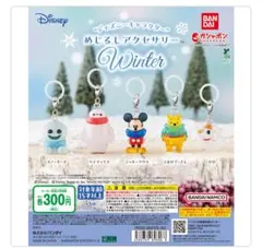 ディズニーキャラクター　めじるしアクセサリー　WINTER スノーギース　ゼロ