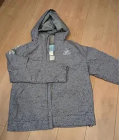 Item thumbnail for item 66025970-28b5-4a93-96e0-6c1b0a918736