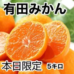最終時期限定一名様❤️味濃く甘〜いみかん❤️有田みかん❤️5kg❤️4