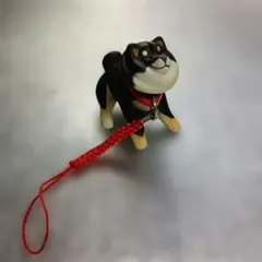 おきがえ! しばさんぽ 黒