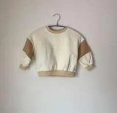 Item thumbnail for item 590434cf-8a18-4392-ba33-95fada5093b9