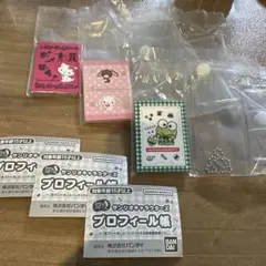 サンリオ　キャラクターズ　プロフィール帳