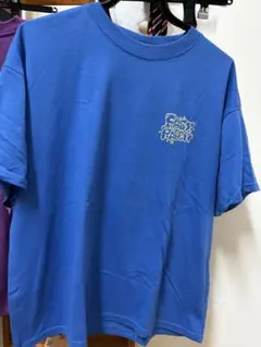 Item thumbnail for item c9656a9d-c32d-44e3-b953-8dad70e3ee9c