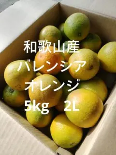 和歌山産バレンシアオレンジ5kg　2Lのサムネイル
