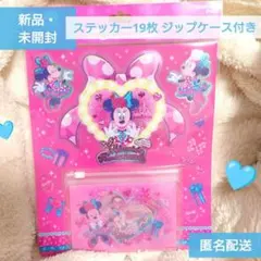 ディズニー・パルパルーザ「ミニーのファンダーランド」ステッカーセット ケース付き