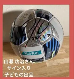 2025年最新】山瀬功治 サインの人気アイテム - メルカリ