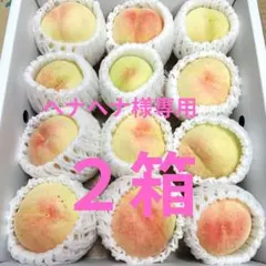 数量限定！注文順収穫！自然肥料のみ！こだわりの清水白桃 大玉 - メルカリ