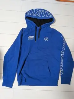 Hollister パーカー ブルー Lサイズのサムネイル