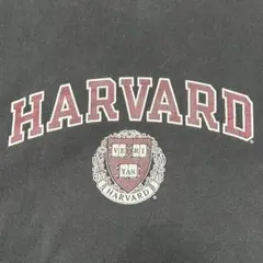 チャンピオン Tシャツ XL ハーバード大学 カレッジ HARVARD フェードのサムネイル