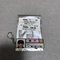 パワプロ×侍ジャパン　アクリルキーホルダー 栄冠ナインver. 藤平尚真