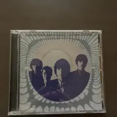 thee michelle gun elephant /chicken