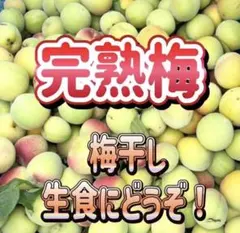 ② 即購入しないで下さい！完熟梅 訳あり 難あり 3kg 無農薬 - メルカリ