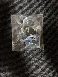 崩壊スターレイル スタレ 丹恒・騰荒 ホヨランド アクリルキーホルダー 