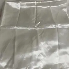 Item thumbnail for item f72a6bf3-028e-4669-8751-aaf73abe4f12