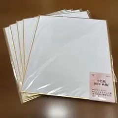小色紙 梅印 画仙 5枚セット