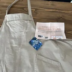 Item thumbnail for item 06cadda9-b6aa-45f8-b211-0deb13e11e1d