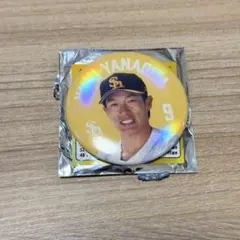 宮崎キャンプグッズ ソフトバンクホークス 9柳田悠岐 オーロラ缶バッジ