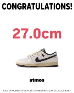 Stranger Things × Nike Dunk Low 27cm