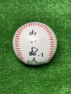 2026年最新】山田哲人サインボールの人気アイテム - メルカリ