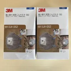 トトロ30様専用8805-DS2 国家検定合格品（DS2）10枚入り×6 - メルカリ