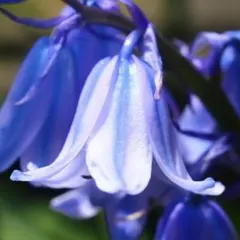 竹林寺様 リクエスト 2点 まとめ商品