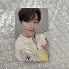 SEVENTEEN 消費期限 会場限定トレカ ペイペイドーム ディノ