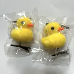 Item thumbnail for item 8bfd9105-8c19-43c8-9ad5-a42589d7abb4