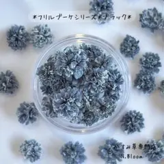 かすみ草　＊ブラック＊　60粒＋α フリルブーケシリーズ　ドライフラワー