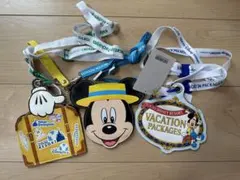 バケーションパッケージ パスケース ディズニーランド 小銭入れ 財布　３点セット