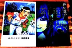 歯ぎしり球体／吉田戦車