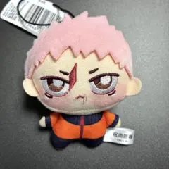 TVアニメ「呪術廻戦」ちょぴぬいぷち　虎杖　⑥