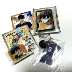 【ハイキュー!!】影山飛雄セット