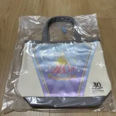 即完売 ディズニー 40周年 ガーランド トートバッグ 大 ミニー 黄色