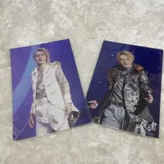 川島如恵留 ステフォ 写真