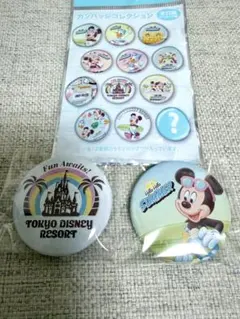 東京ディズニー 2025サマー缶バッジ2個セット シークレット - メルカリ