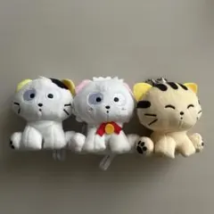 うちのタマ知りませんか　カプセルトイ