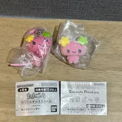 ysm様 リクエスト 2点 まとめ商品