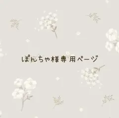 ぽんちゃ様専用ページ