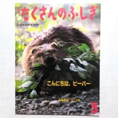 たくさんのふしぎ 2000年5月号（第182号）